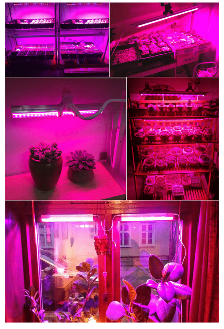 High Output LED