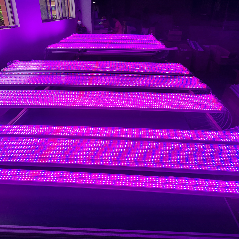Best Ip65 Horticulture Indoor LED Grow Light Bar 2ft 3ft 4ft Full Spectrum Blue Red Aluminum Lamp Waterproof Chip for Plants