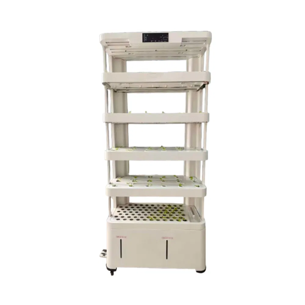 Hydroponics System