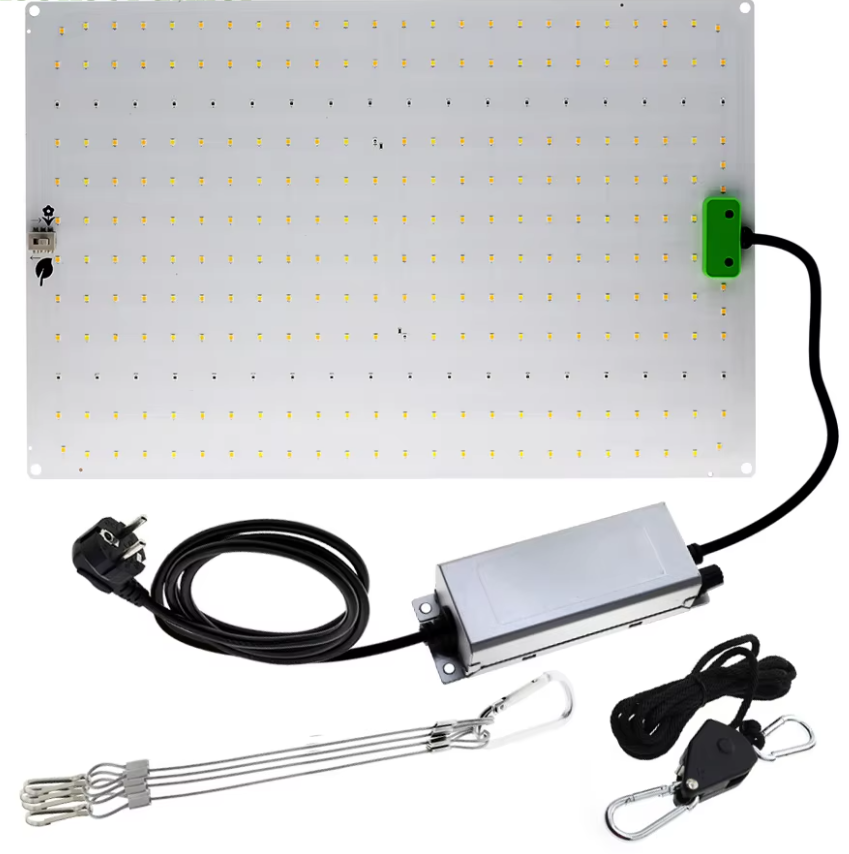 120W Full Spectrum Custom High PPFD Indoor Phyto Lamp LED Grow Light for Uv Ir Veg Bloom Plant Tent Growth