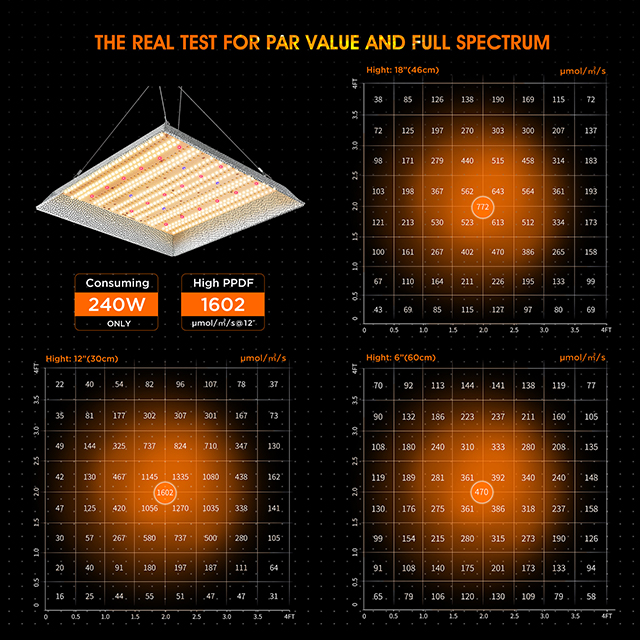 Better PAR Value LED Quantum Light Board 240 W Grow Light Panels for Indoor Plants