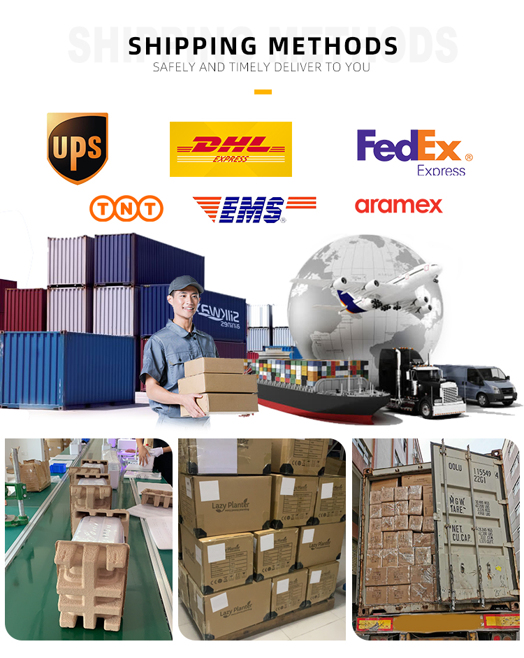 Shipping Logistics Options