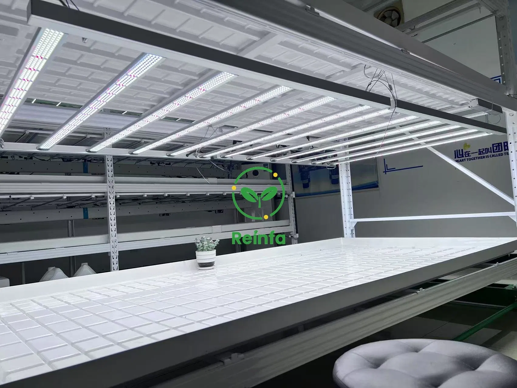 Full Spectrum 650W LED Grow Light for Vertical Farming &amp; Hydroponics