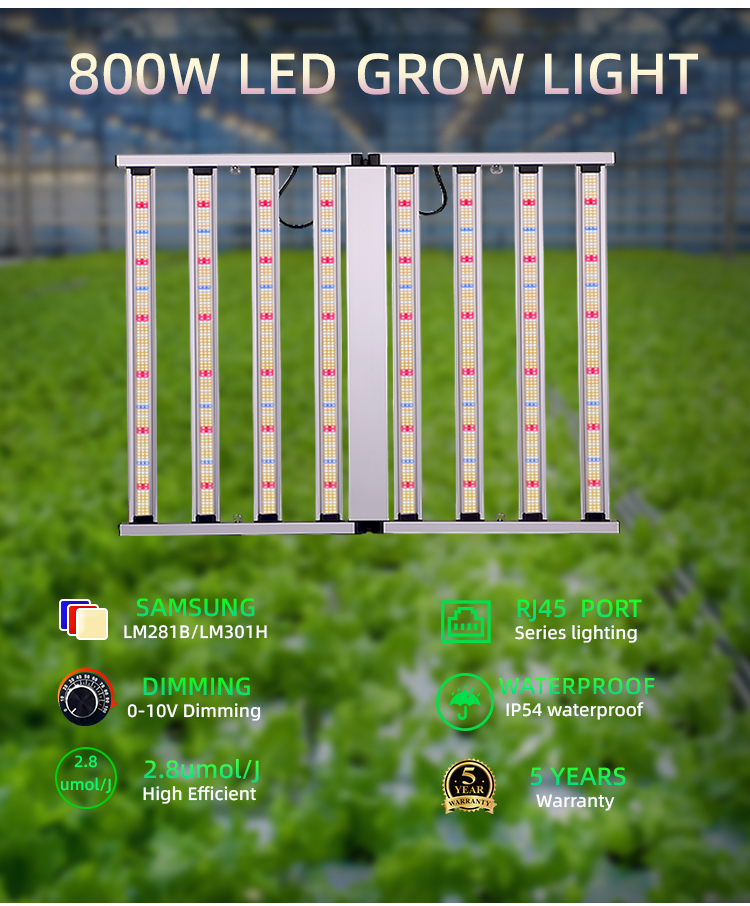 LED Grow Light View 2