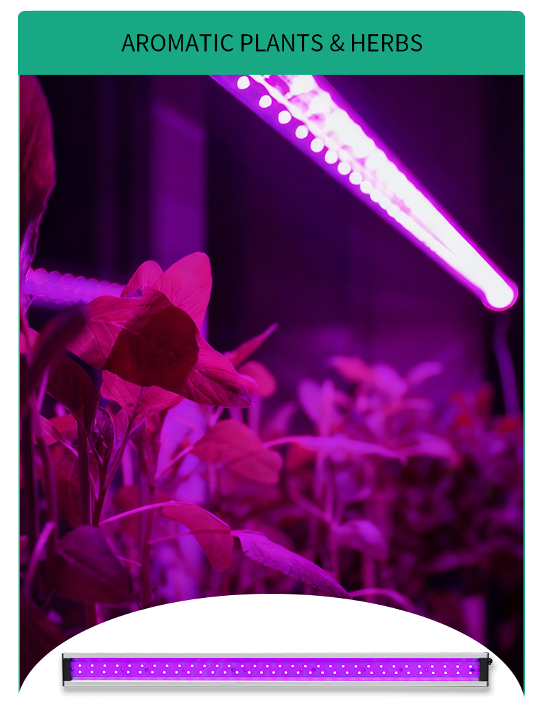 UV-30 Light Image 9