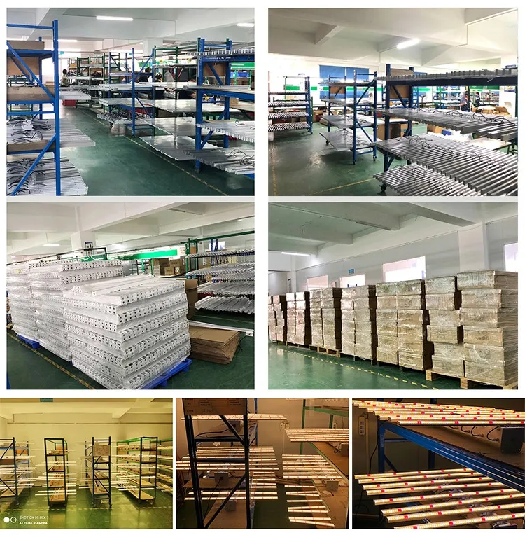 Production Line