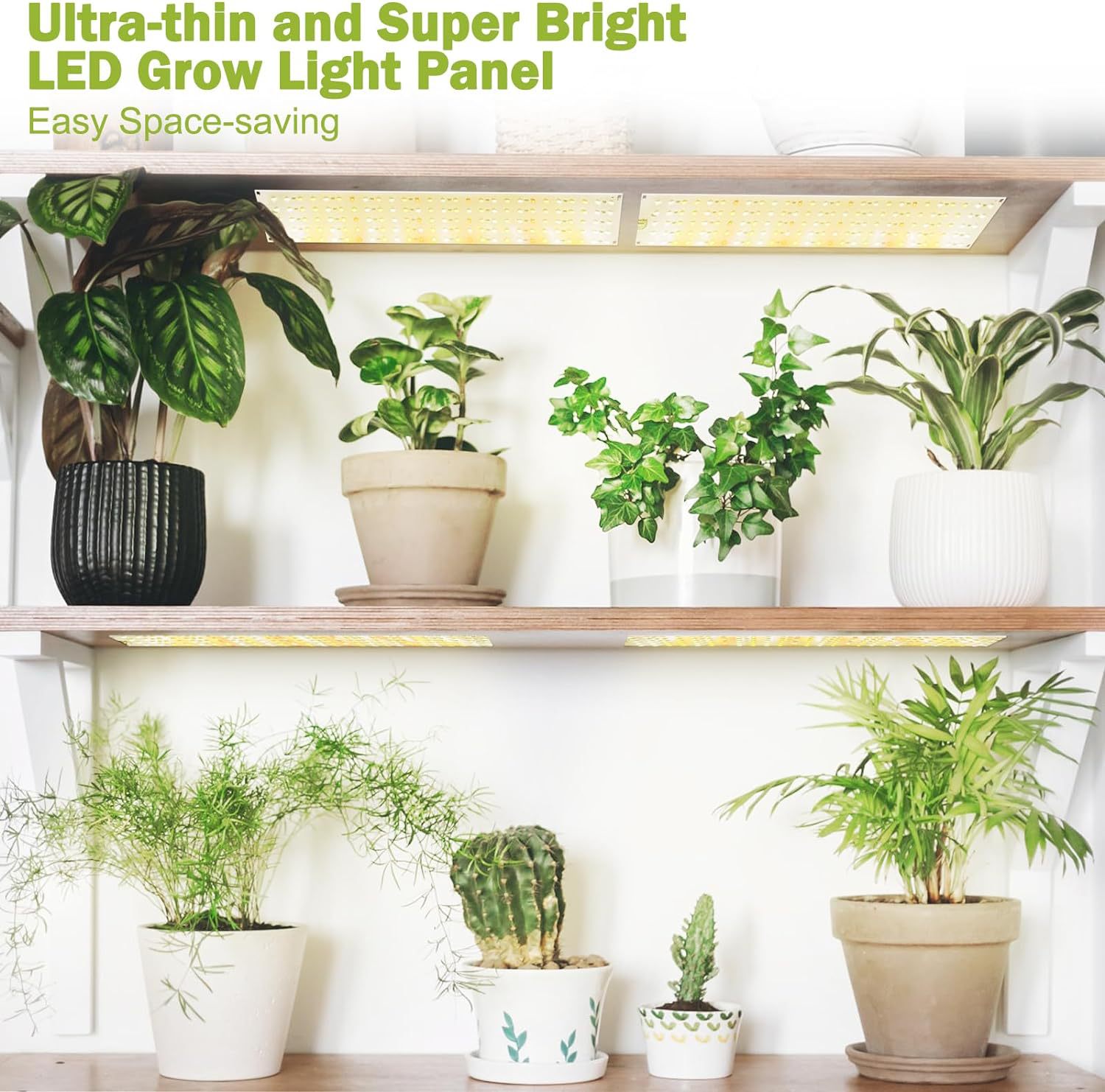 LED Quantum Board Aluminum Alloy Plant Growth Light Scene 11