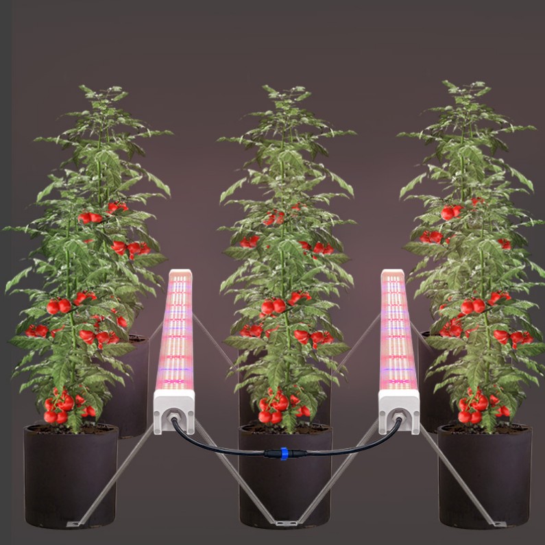 120w 100w Veg Application Under Canopy Led Grow Light Supplemental Lighting for Plants