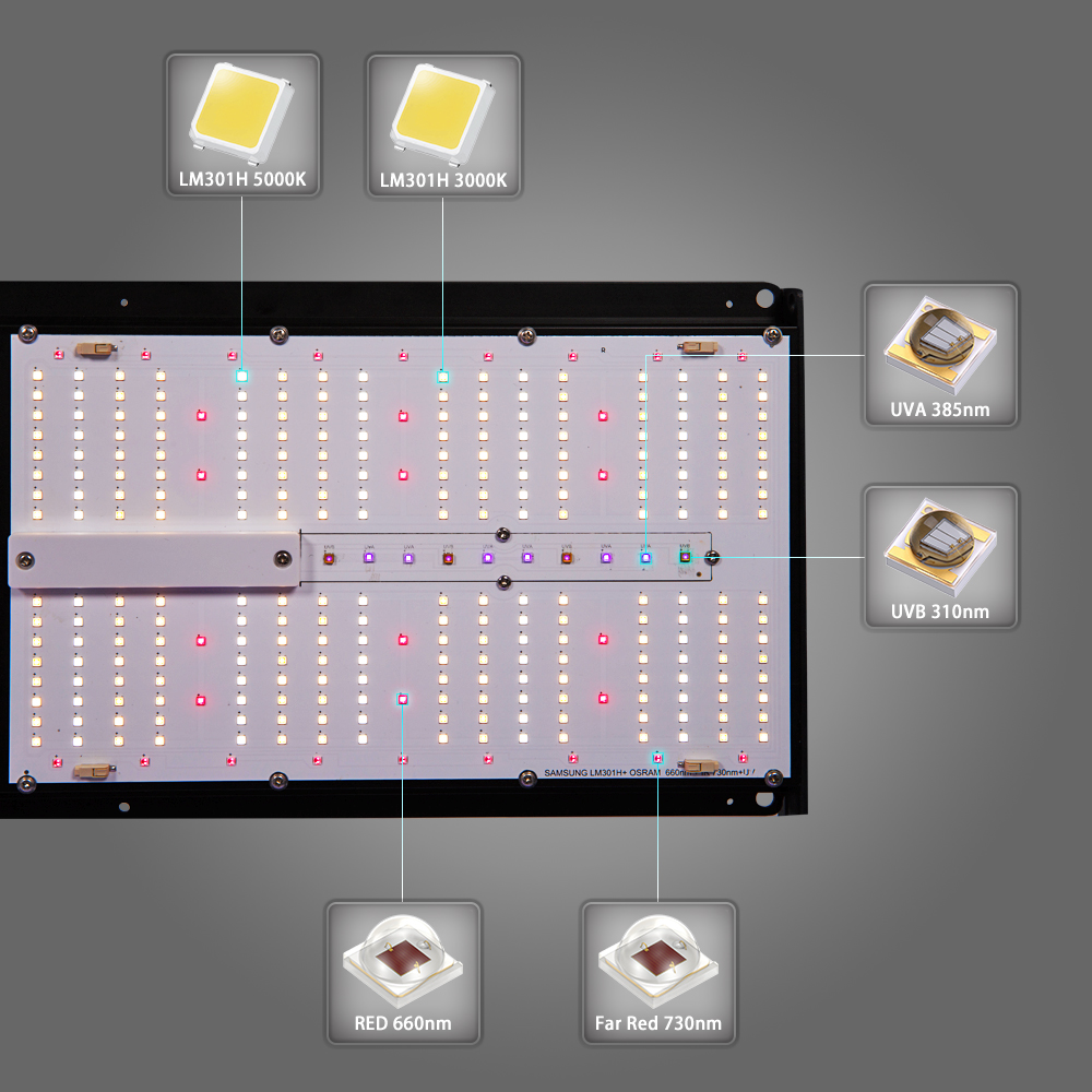 Product Feature Image 6