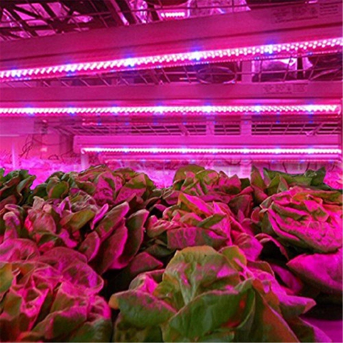 Greenhouse Supplemental Plant Grow Lights