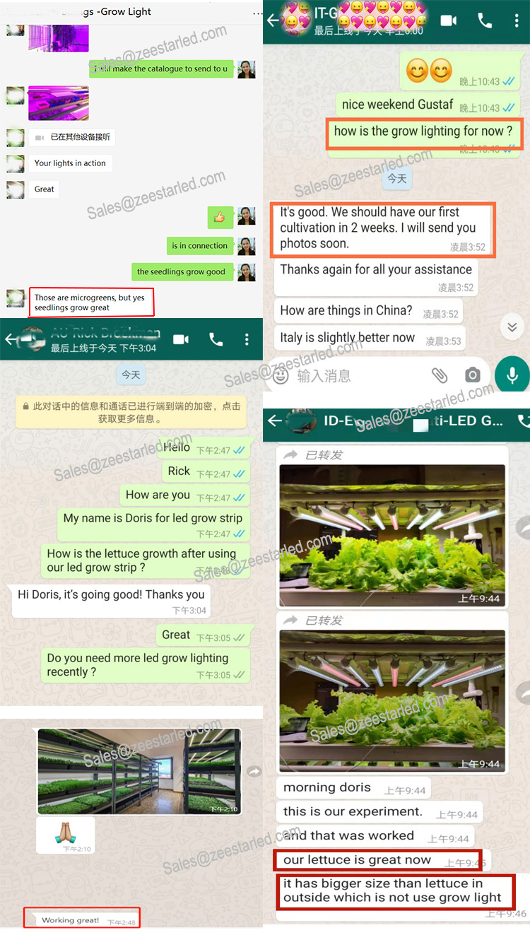 Customer Growing Results Feedback
