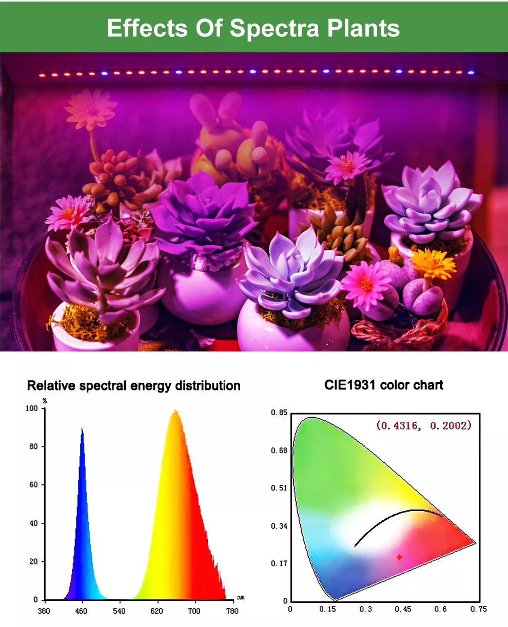 Full Spectrum IP65 Hydroponic Led Strip Grow Light with Red+Blue+White LEDs for Plant Growing & Bloom High CRI 90 10W