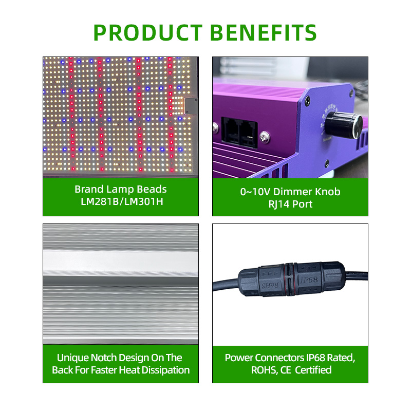 ANDY Samsung LM301H EVO LM281B 100W 200W 300W Full Spectrum Quantum Board Plant Grow Light Panels with Daisy Chain Dimmable