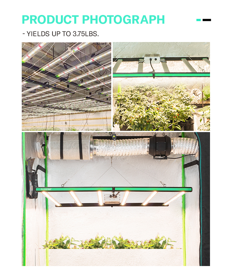 Product View 8