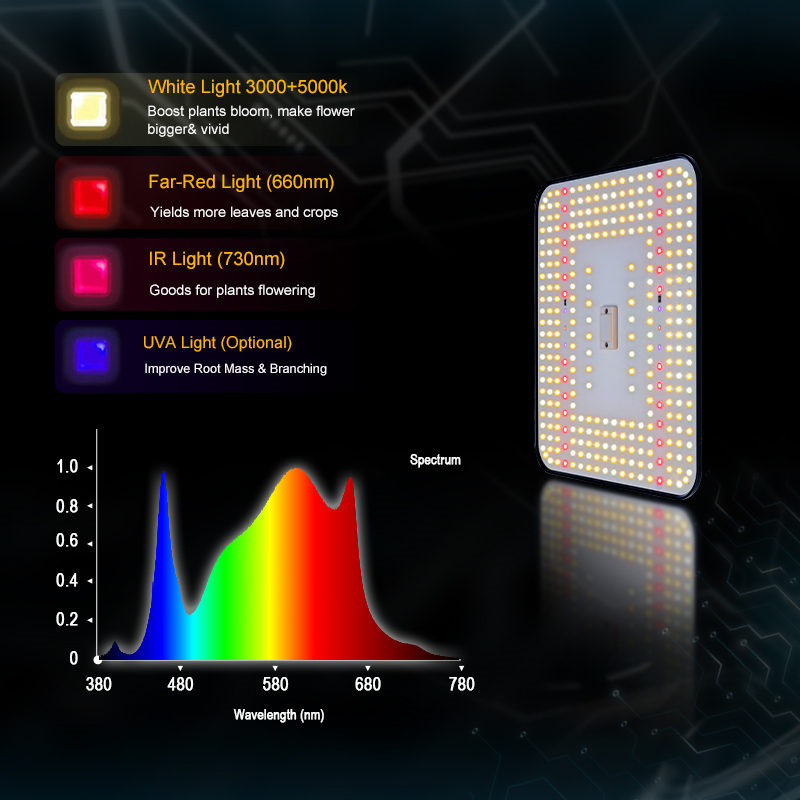 100W Dimmable Full Spectrum Quantum Panel LED Grow Light Board Cob Chip IP65 Rating Aluminum Body for Greenhouse Indoor Plants