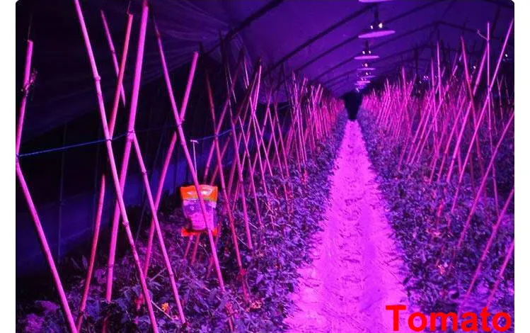 Greenhouse Application 3