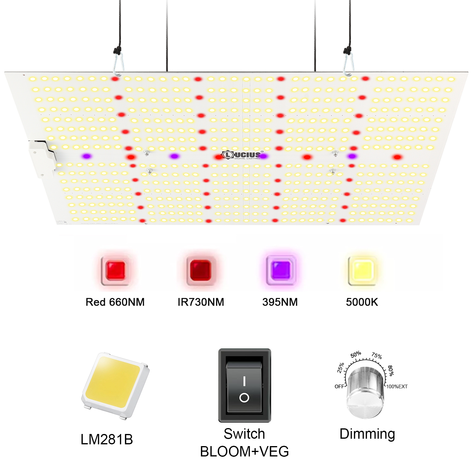 240W Full Spectrum Panel Quantum LED Grow Light Board for Indoor Plant