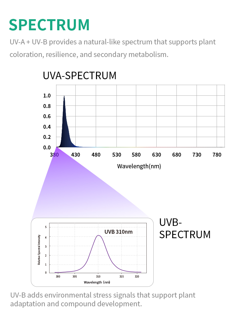 UV-30 Light Image 10