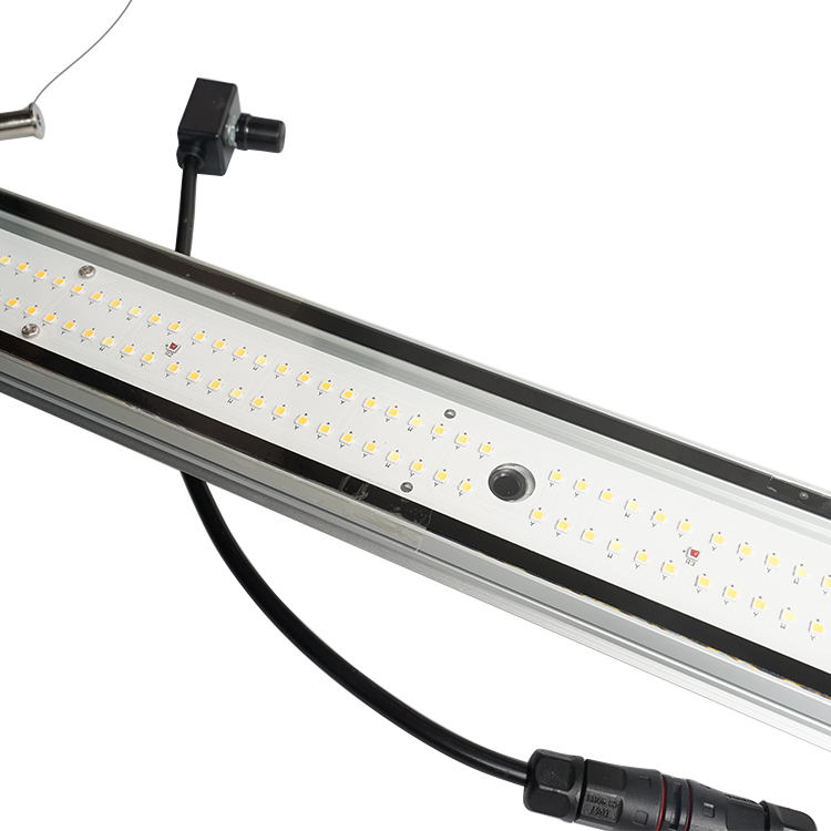 IR UV Full Spectrum 120W 240W MeanWell Driver LED Lamp LM301h LED Grow Light Board For Plants Hydroponics