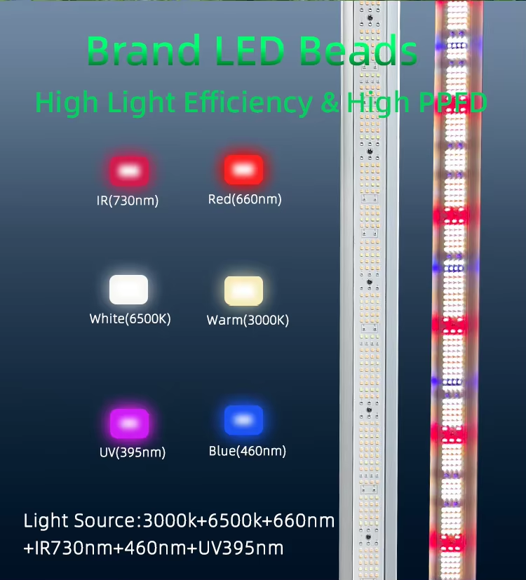 UV IR Grow Light
