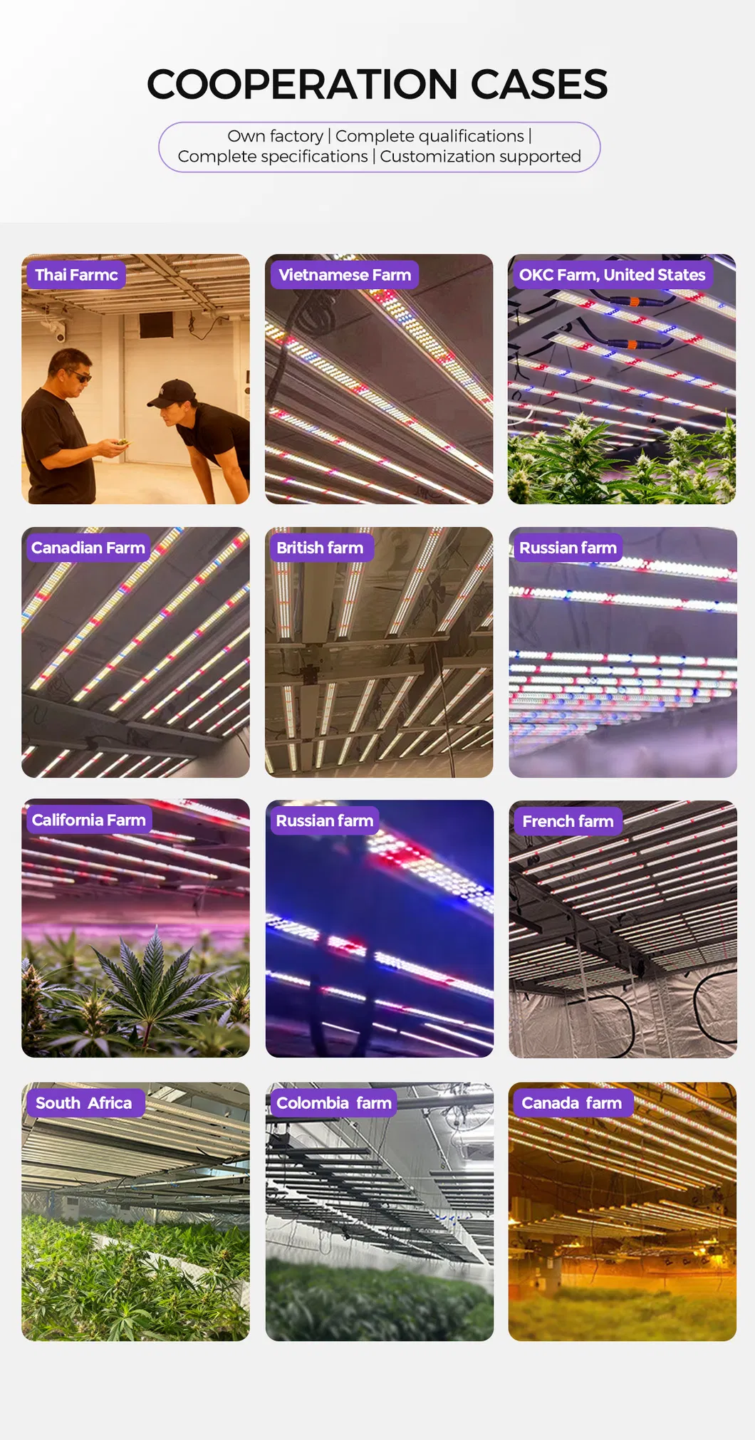 Supplemental LED Grow Light Bar 100W UV with RJ45 Daisy Chain, Aluminum IP54 Plant Light for Vertical Farming