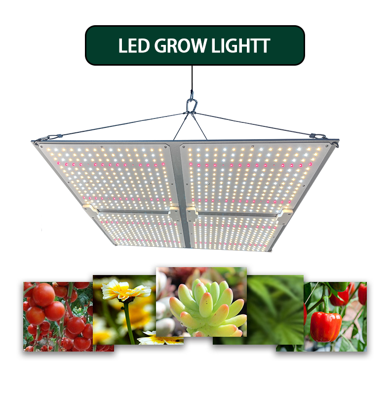 For Samsung Lm301b Lm301h Evo 100W 200W 400W Dimmable LED for Quantum Board Greenhouse Power 3GP King LED Grow Light Panels