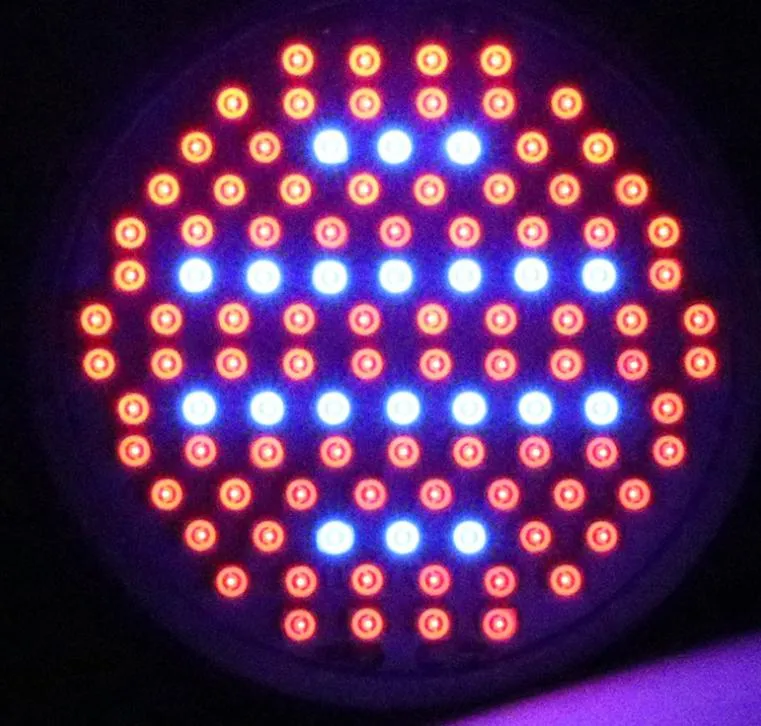 LED Grow Light 5