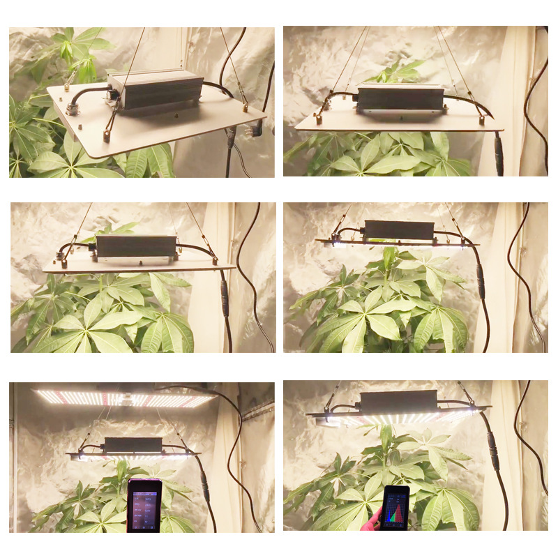 LED Grow Light Design 4