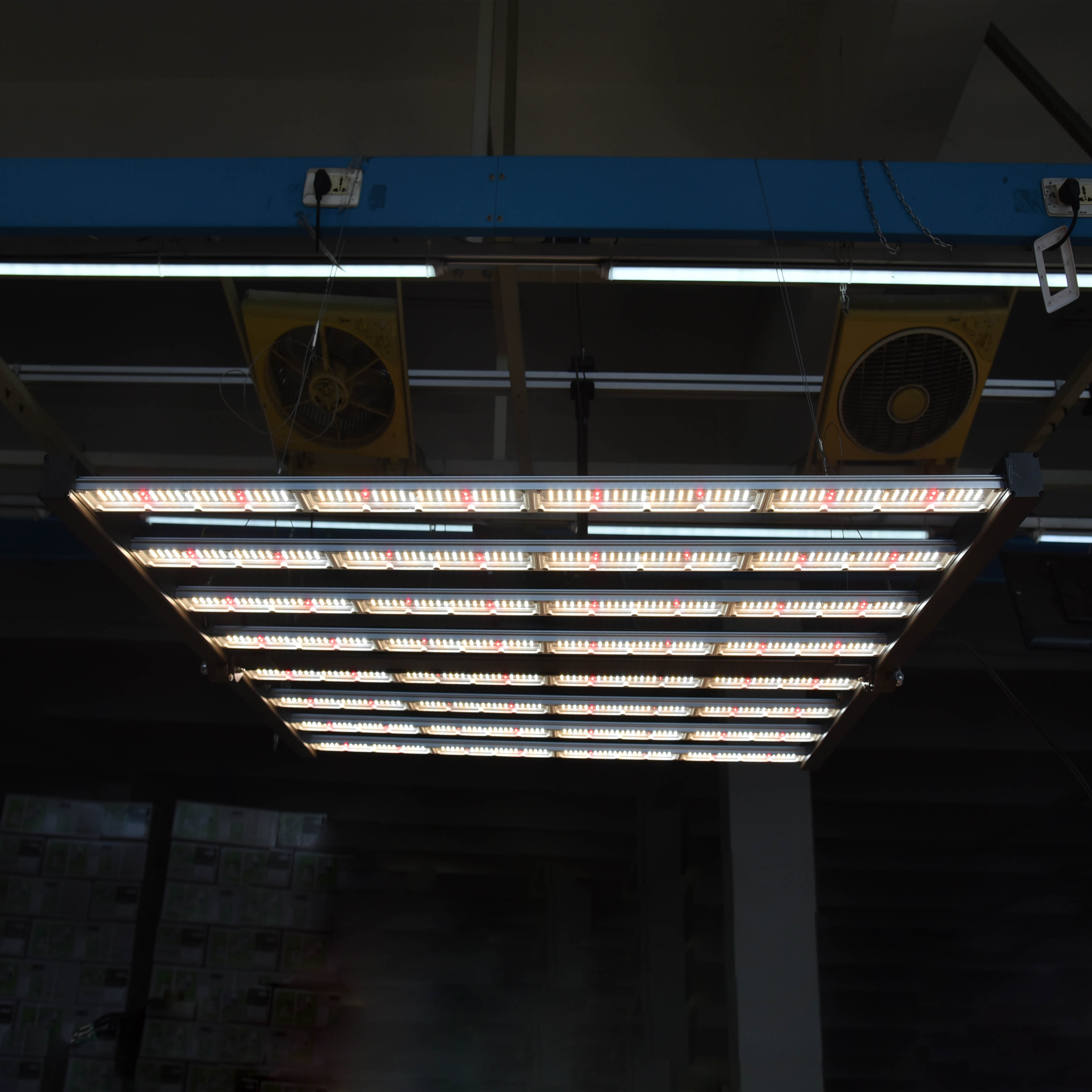 LED Grow Light 6