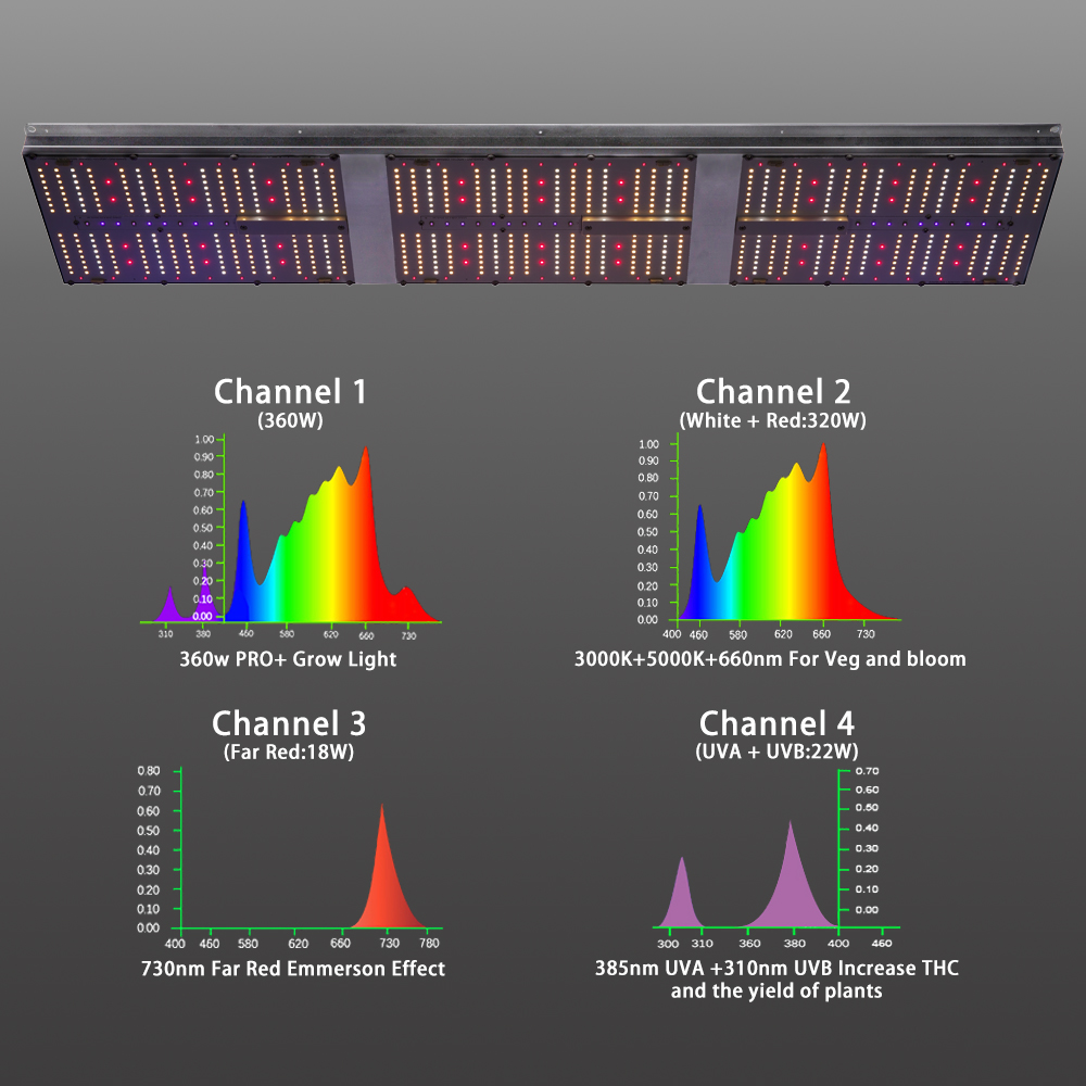 Full Spectrum Led Grow Light | Grow Install Horticulture 320W 640W Replace 1000w Hps Greenhouse LED Grow Light Linear Light