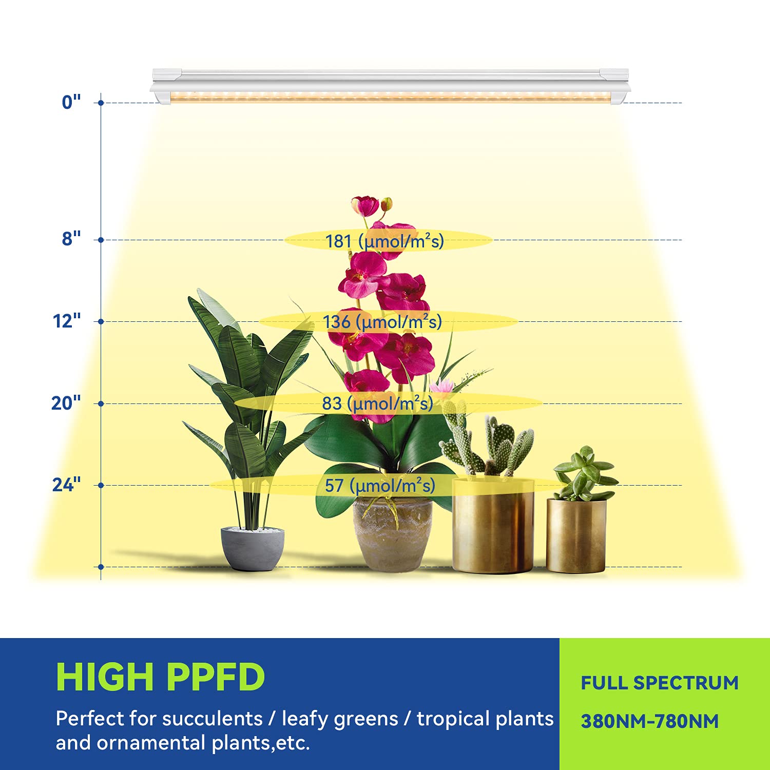 T8 LED Grow Light High Output Full Spectrum Sunlight Replacement LED Grow Light for Vegetables Greenhouse Vertical Farm Use