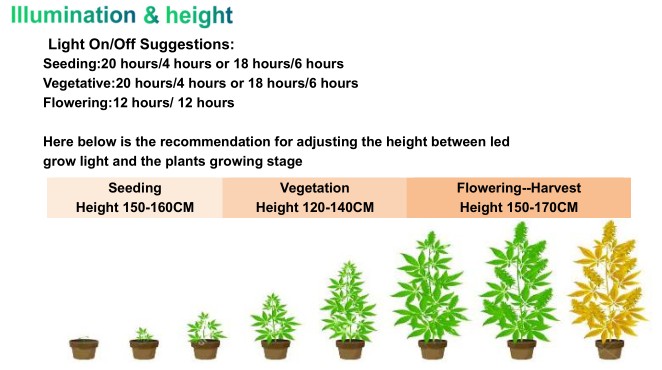 Product Specifications