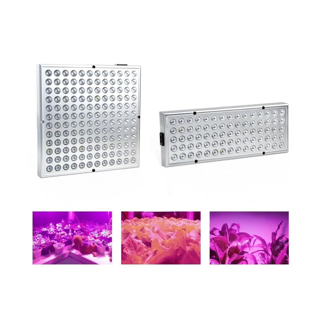 25W 45W Full Spectrum Indoor Fill Light LED Greenhouse Growth LED Plant Grow Light