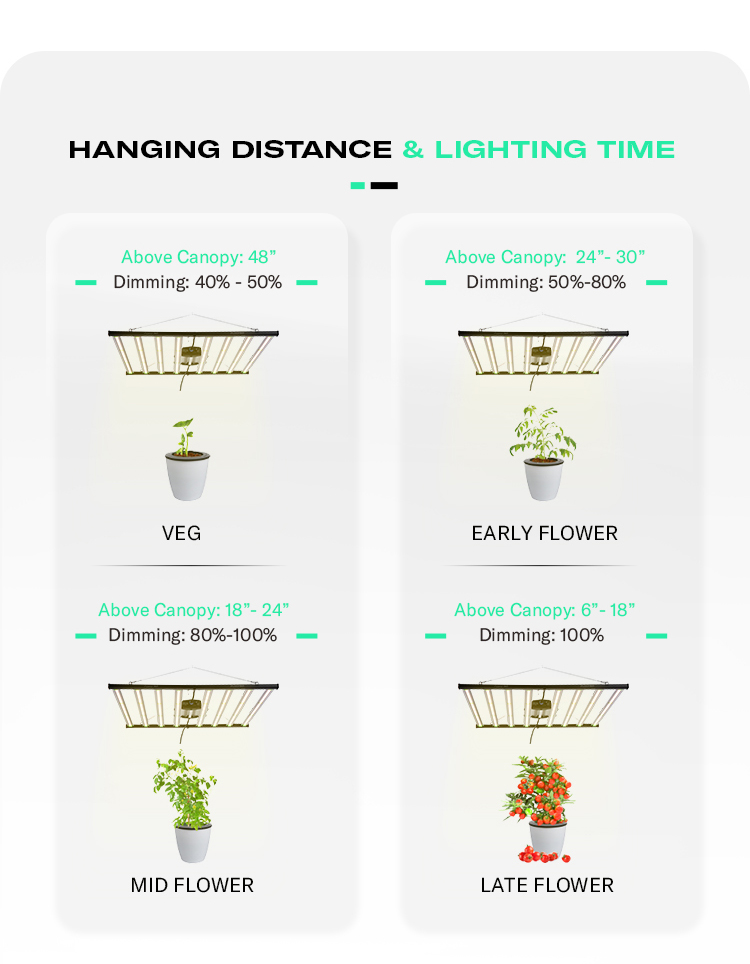 Product Details 8