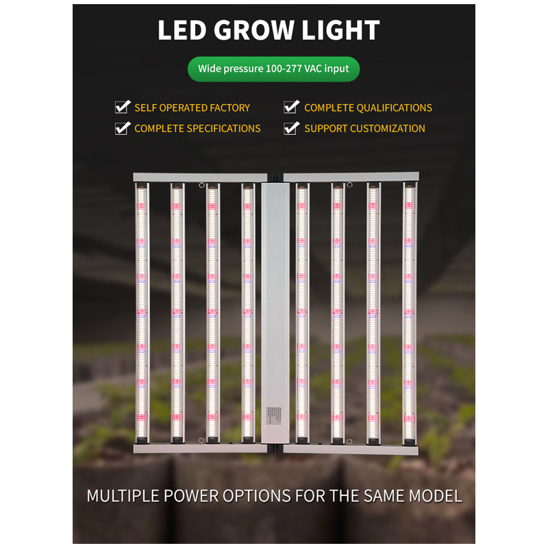 Agg 2025 New Sansung Lm301b Lm301h Evo Chips 800W 900W 1000W LED Grow Light Full Spectrum LED Grow Panel for Indoor Plant Vertical Farming Grow