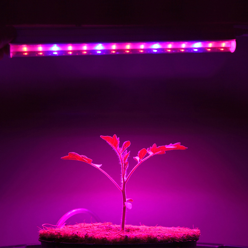 T8 LED Grow Light