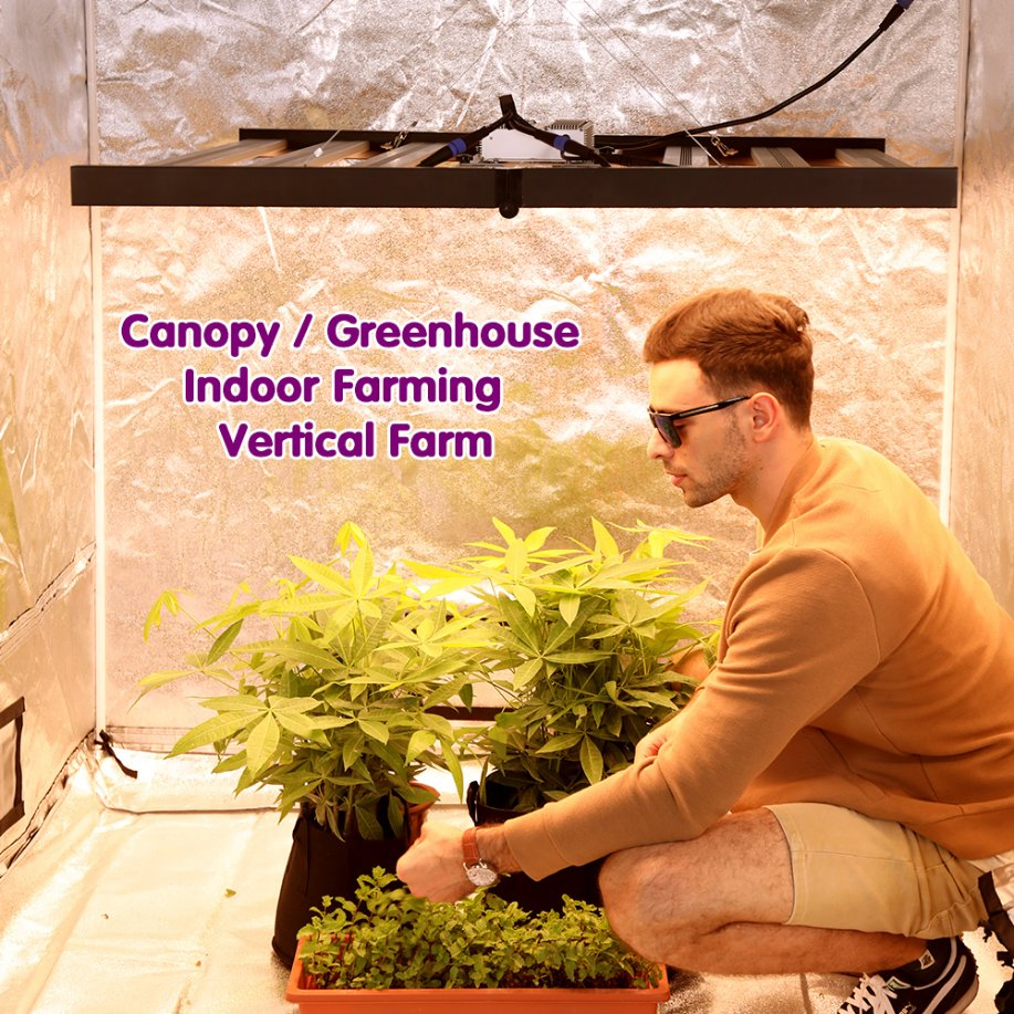 High Yield Full Spectrum 400W 600W 800W 1000W Houseplant Spider Herb Grow Light