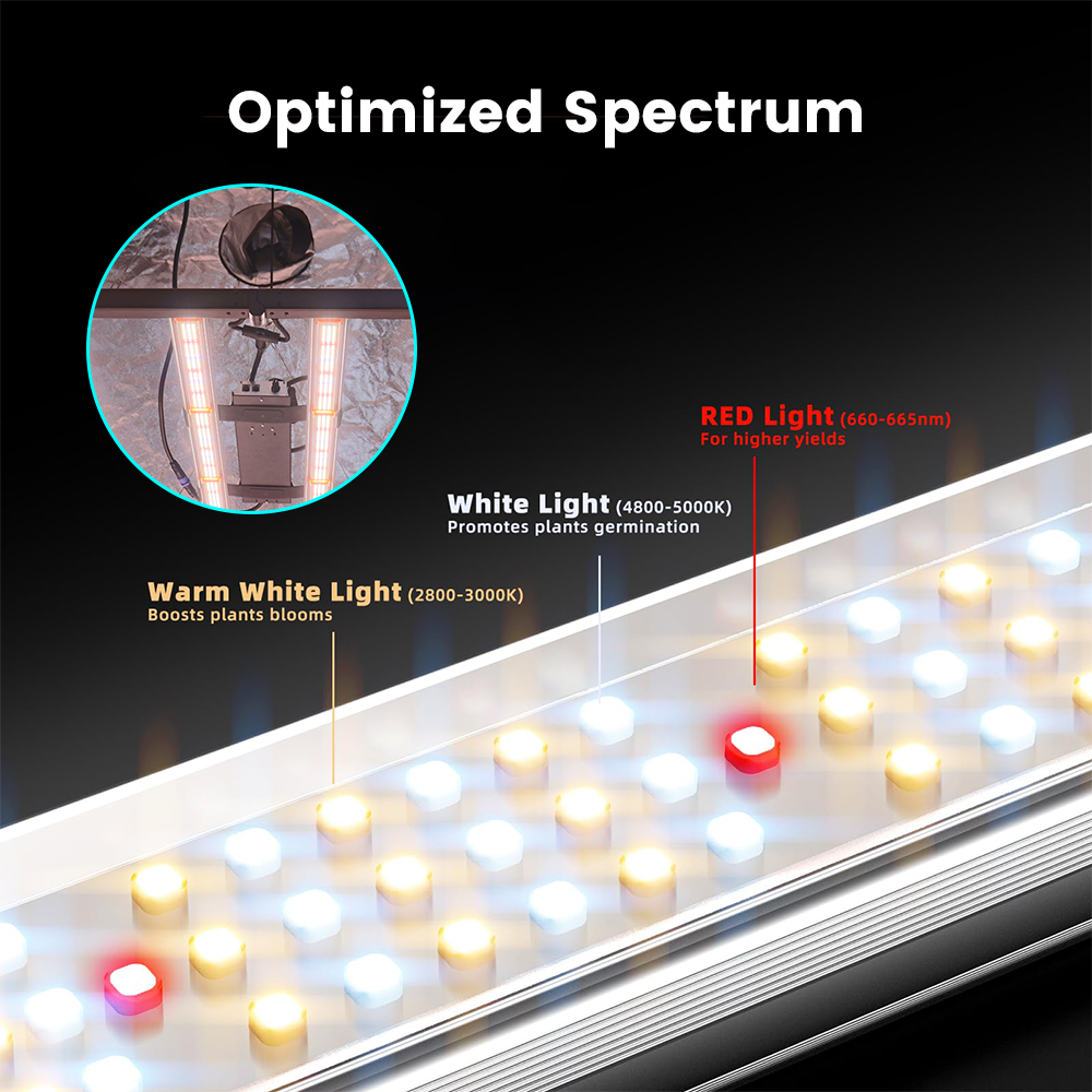 Trilite Samsung 281B 720W LED Grow Light 6 Bars Full Spectrum Dimmable High Yield Growing Lamps for Indoor Medical Plants