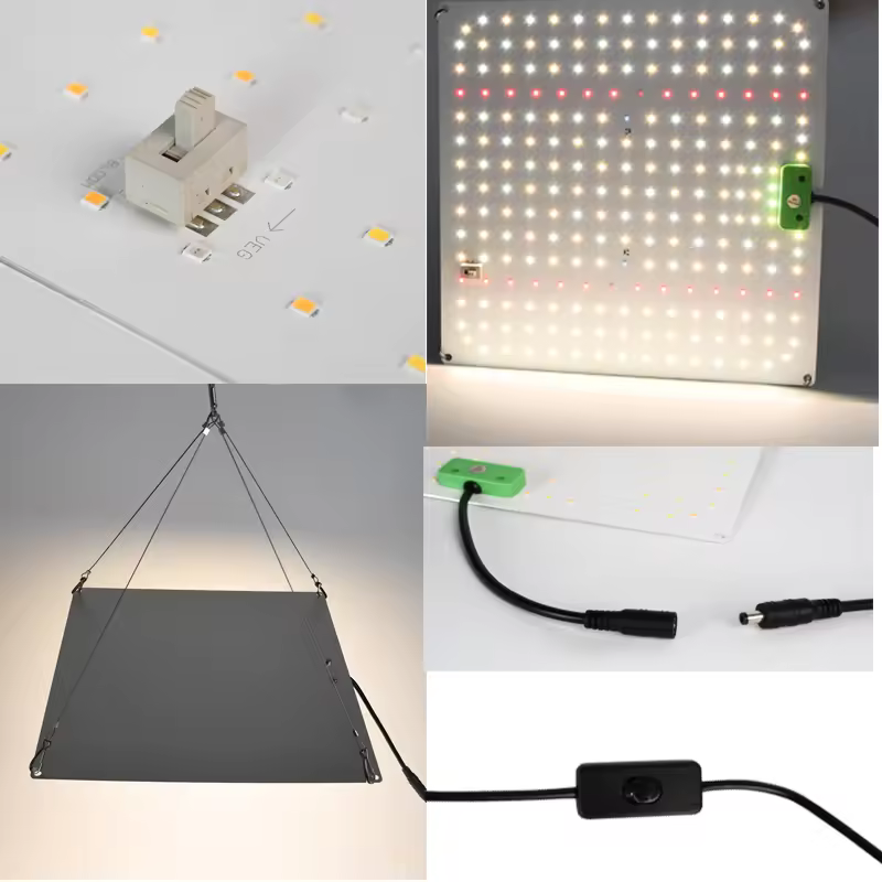 LED Light Unit
