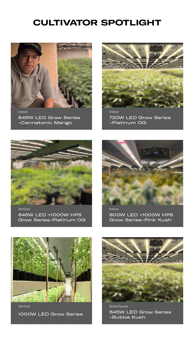 Project Case Study