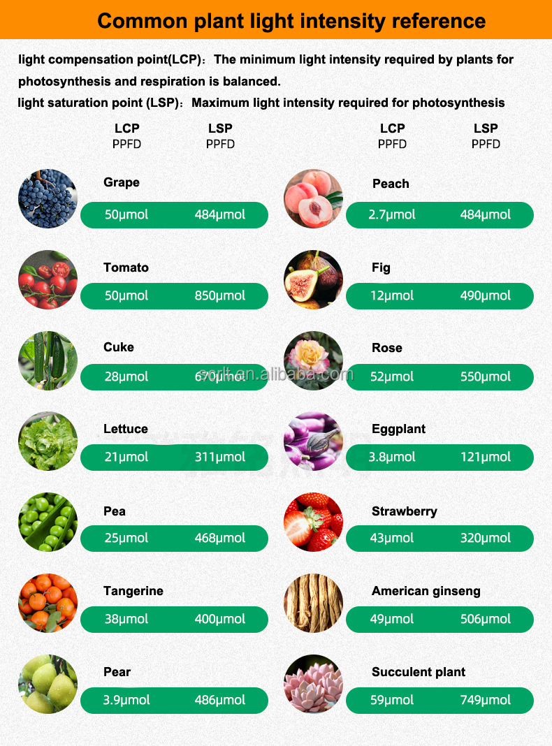 Grow Light 10