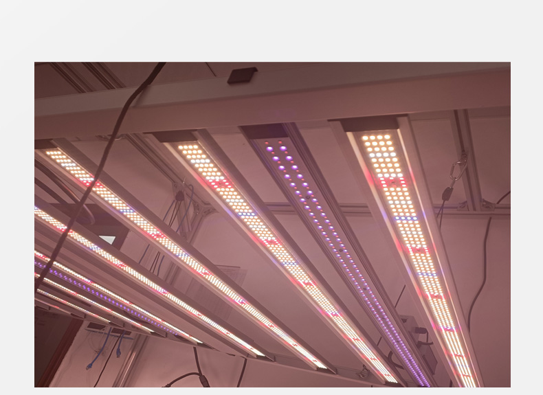 Grow Light Bar Product Image 6