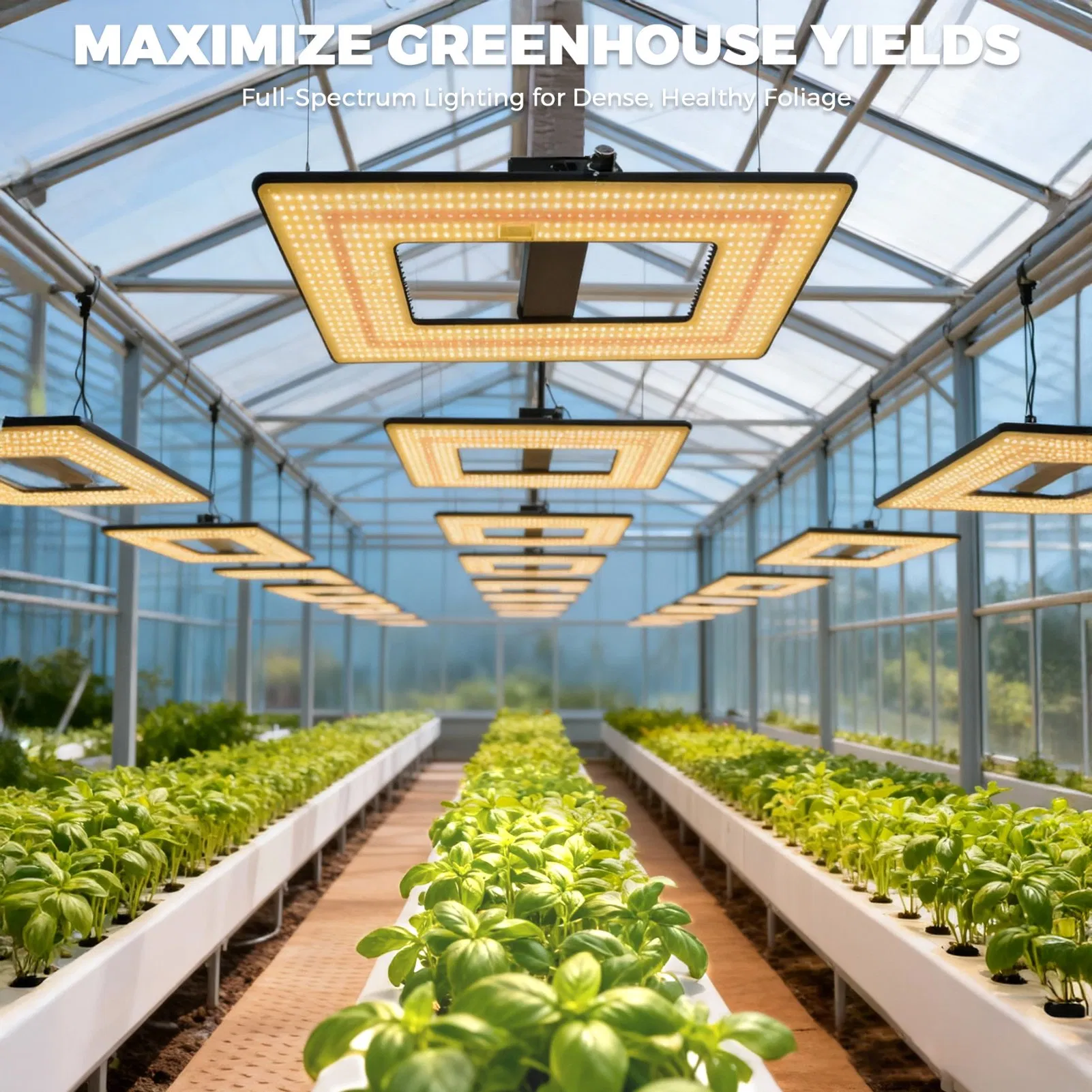 Factory Price LED Grow Light Full Spectrum Commercial Greenhouse Plant Lighting