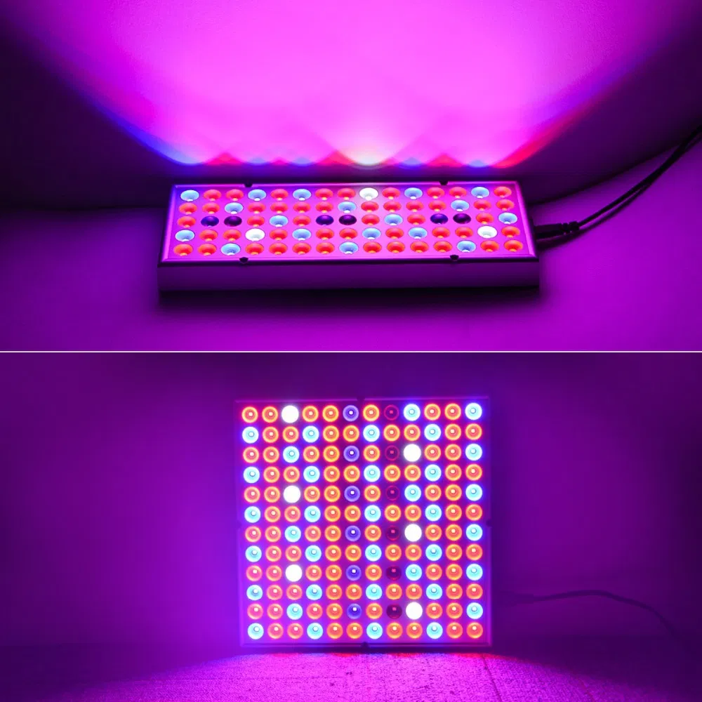 25W 45W Full Spectrum Indoor Fill Light LED Greenhouse Growth LED Plant Grow Light