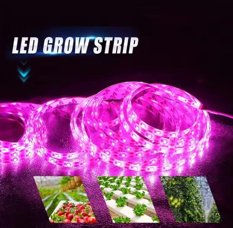 Grow Light Full Spectrum LED 3
