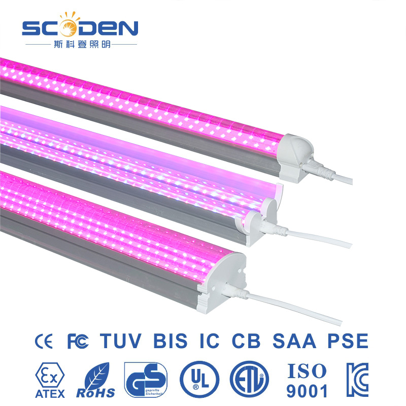 Full-spectrum T8 and T20 Tubes for Hydroponic Plant Cultivation and Growth Along with Red and Blue Light Supplementary Lighting