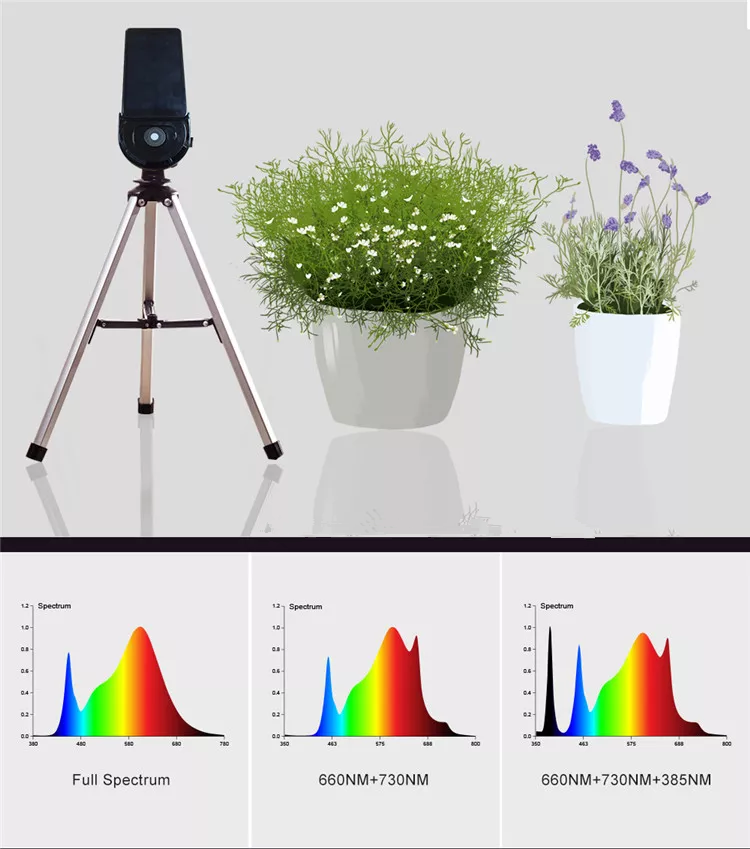 2022 Best Commercial Horticulture Grow Light 640W LED Grow Light Full Spectrum Vertical Farming Light