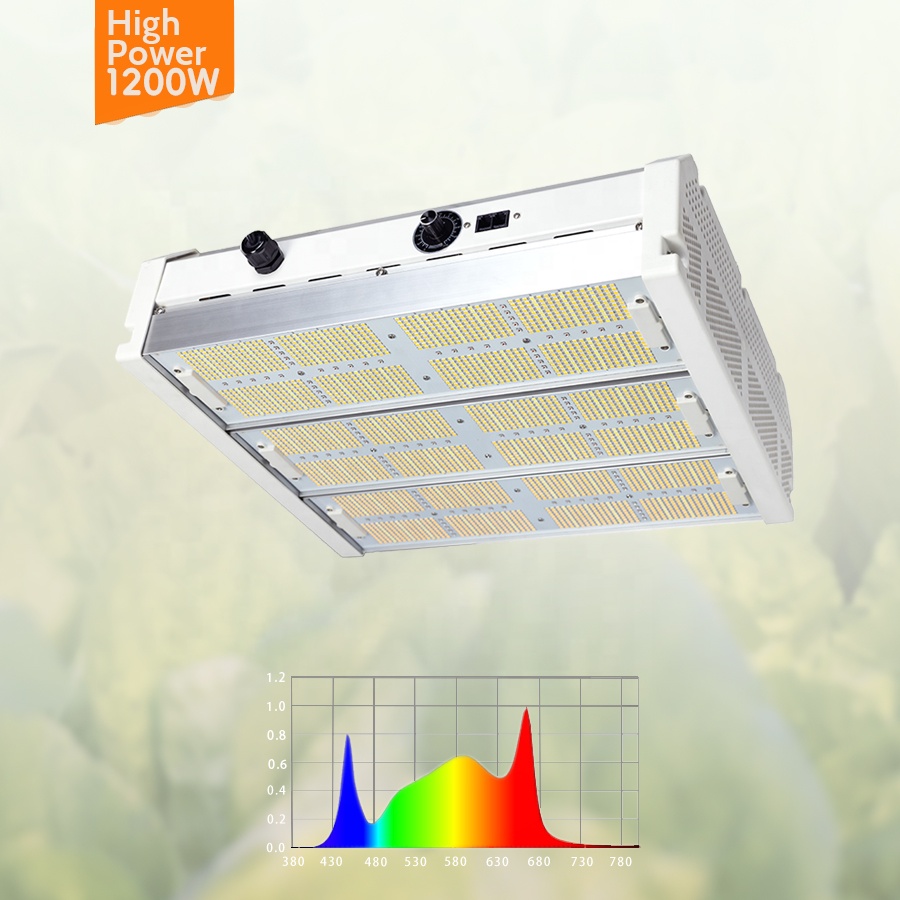Grow Light Overview