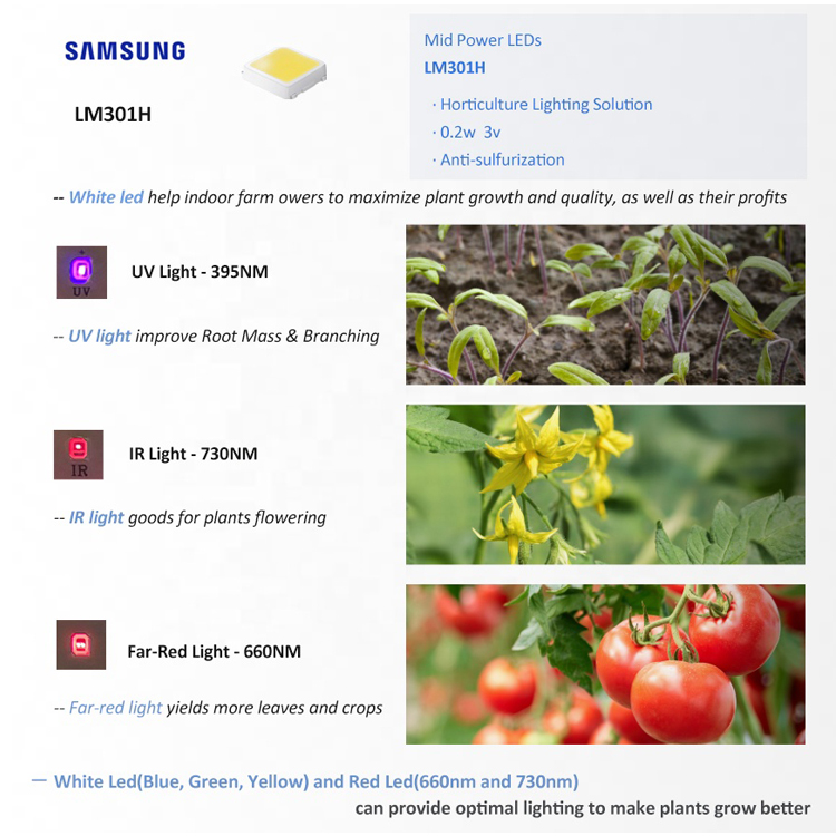 Best Waterproof Samsung Uv Ir Lm301H 600W 720W 800W 1000W 1000 Watt Full Spectrum Plant Led Grow Lights For Indoor Plants