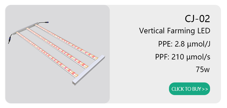 UV-30 Quality Testing